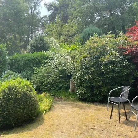 Ruime En Comfortabele Bungalow Aan Bosrand Lage Mierde Exterior photo