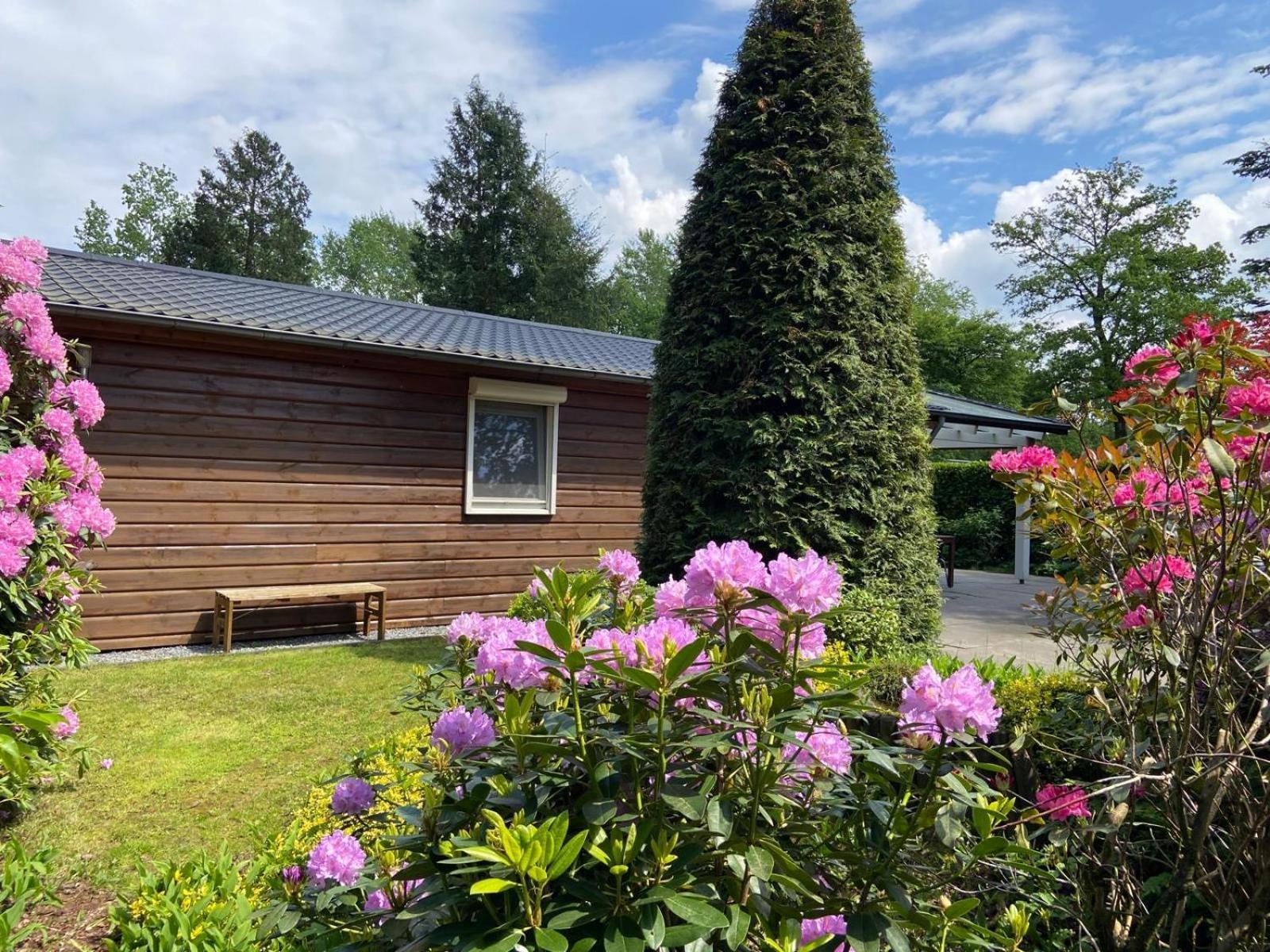 Holiday home Ruime En Comfortabele Bungalow Lage Mierde